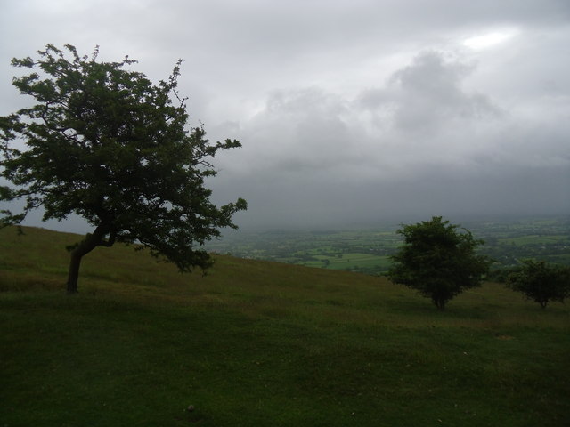 File:Hangmans hill. - geograph.org.uk - 3527307.jpg