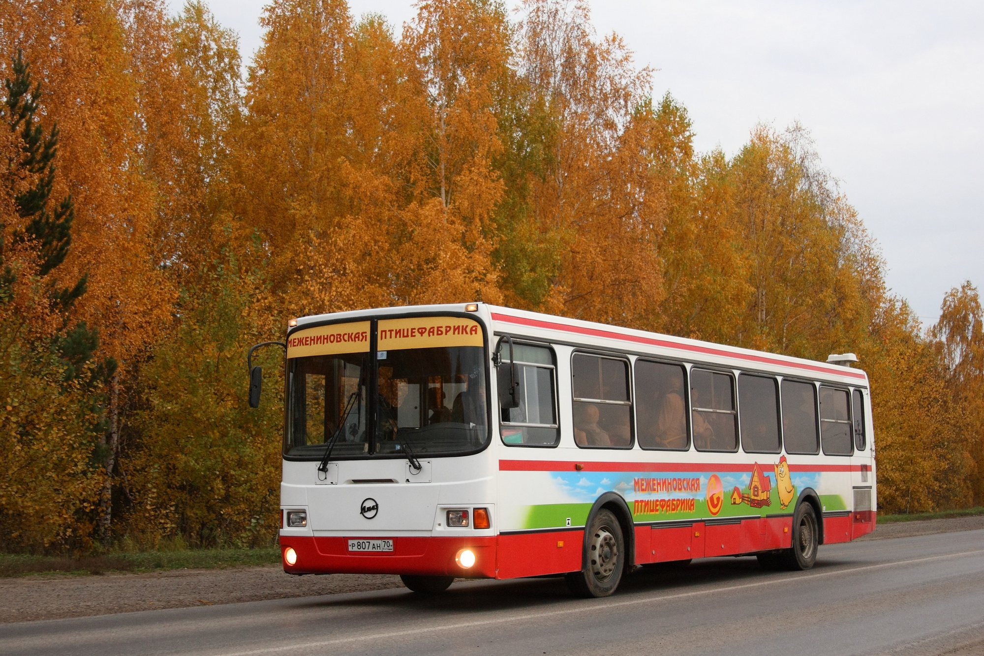 ЛИАЗ-5256 автобус