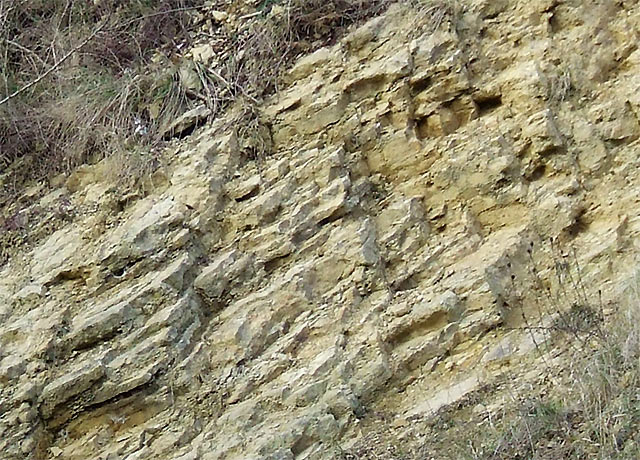 File:Limestone Strata, Dudley, Worcestershire - geograph.org.uk - 637053.jpg