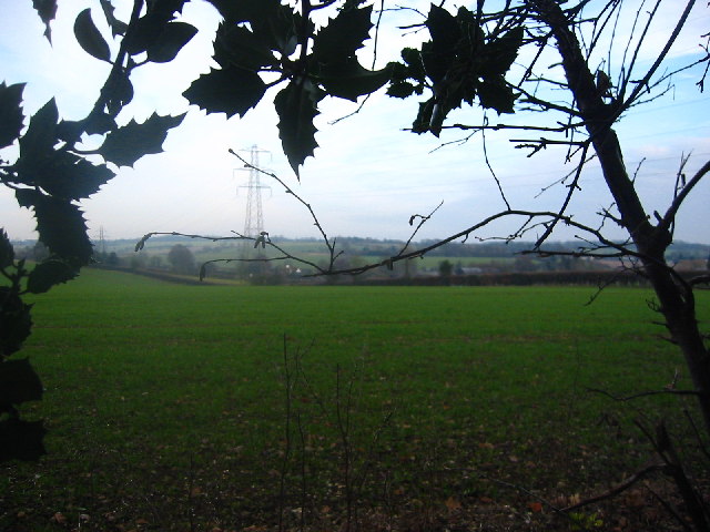 File:Luffenhall - geograph.org.uk - 95045.jpg