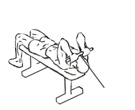 File:Lying-triceps-extension-1.gif