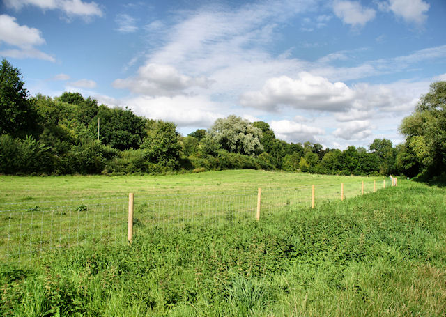 File:Meadow by the Stour - geograph.org.uk - 1438078.jpg