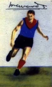 Mike Woods (Australian footballer) Australian rules footballer