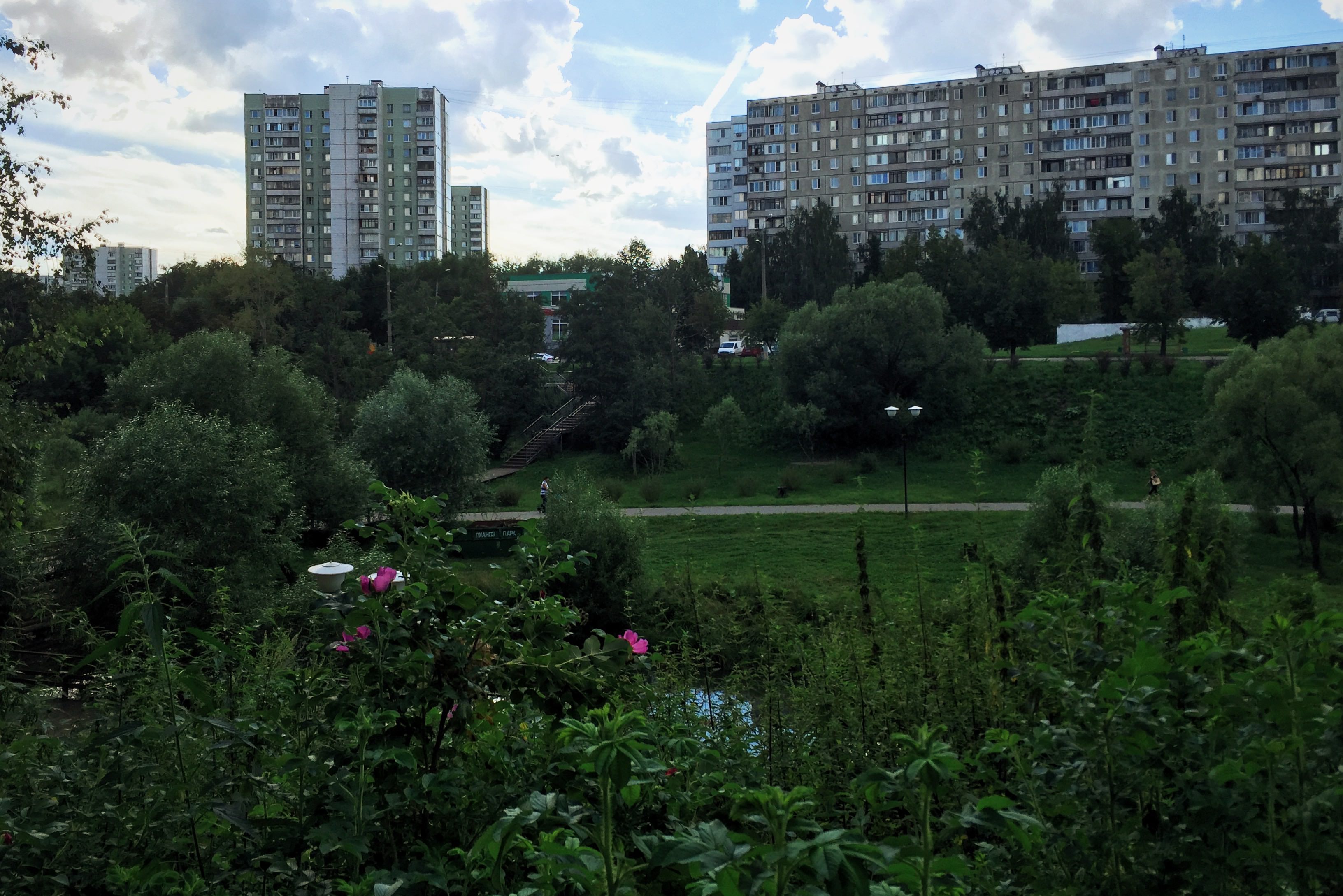 Фото в бибирево