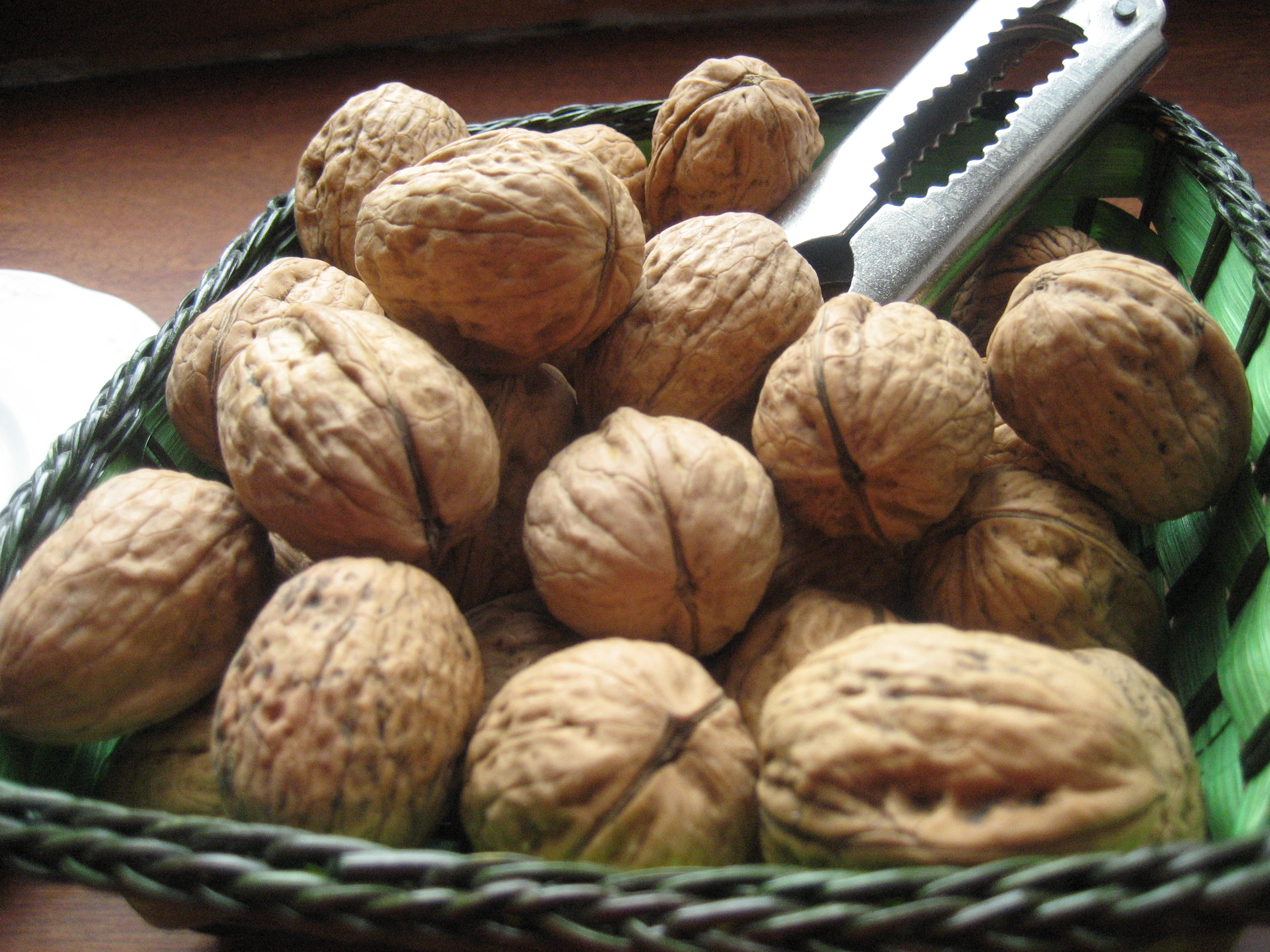 Resultado de imagen de Nueces wikipedia