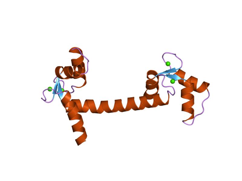 File:PDB 3cln EBI.jpg