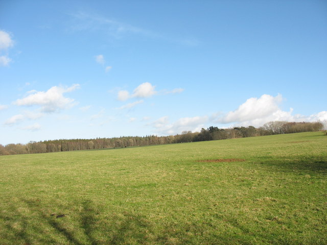 File:Parkland north of the Boathouse Covert - geograph.org.uk - 369561.jpg