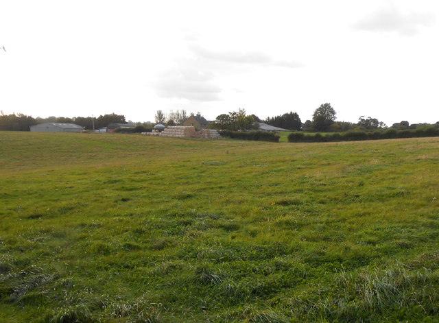 File:Pasture Fields at Eastgate Farm - geograph.org.uk - 3174837.jpg