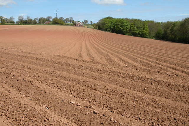 File:Ploughed field, Yatton - geograph.org.uk - 167238.jpg