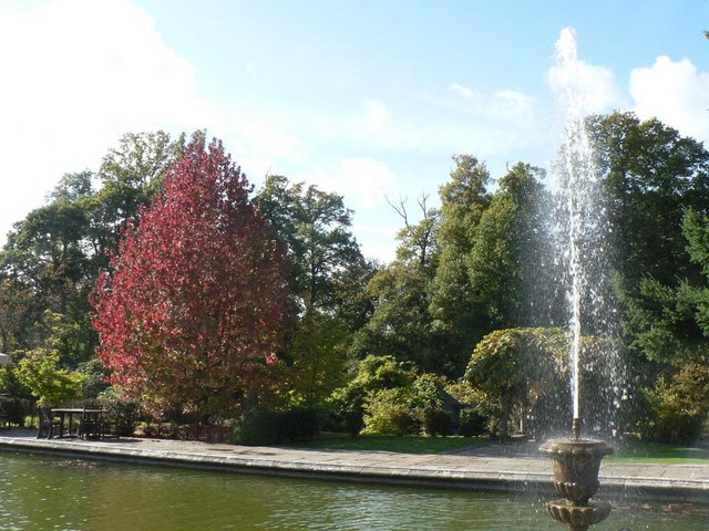 Rhinefield, fountain and autumnal tree - geograph.org.uk - 1010603