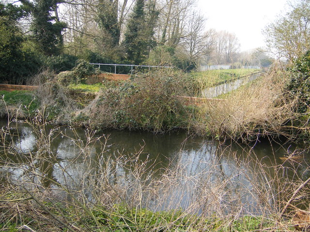 File:River Colne - geograph.org.uk - 381577.jpg