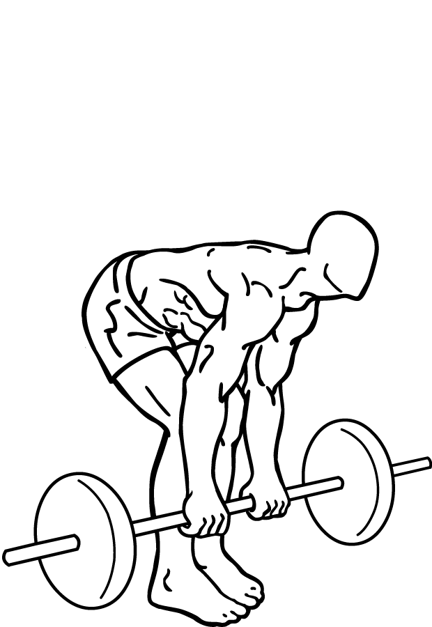 Datei Romanian Deadlift 2 Png Wikipedia