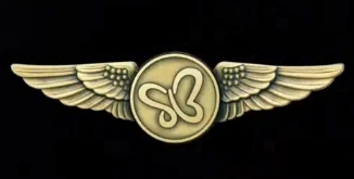 Uniform wings of Skybus Flight Attendants with the butterfly/SB logo.