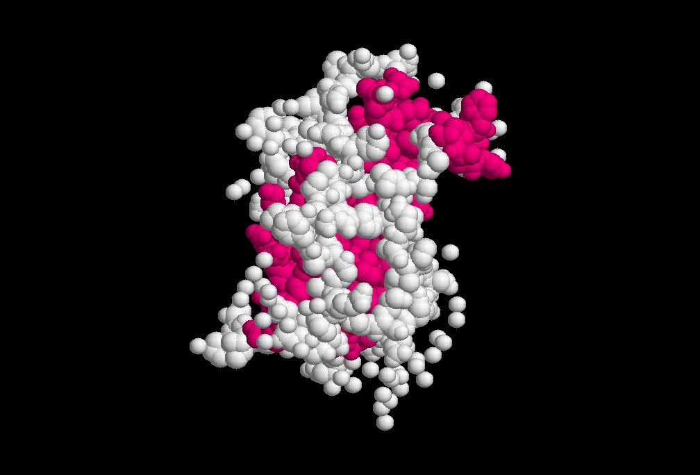 Somatotropine.GIF