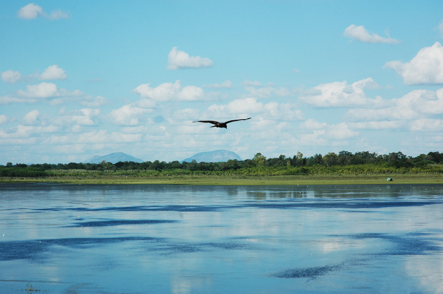 The [[Hesaraghatta Lake