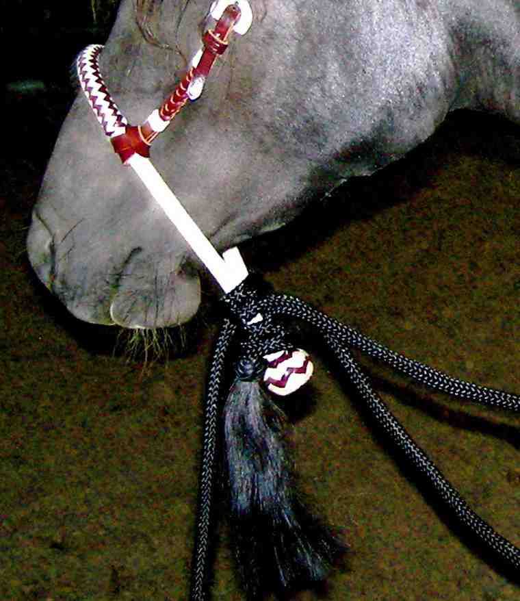 https://upload.wikimedia.org/wikipedia/commons/5/59/Bosal3.jpg