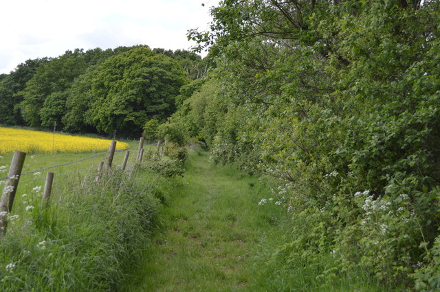 File:Bridleway by Greenfield Shaw - geograph.org.uk - 5117276.jpg