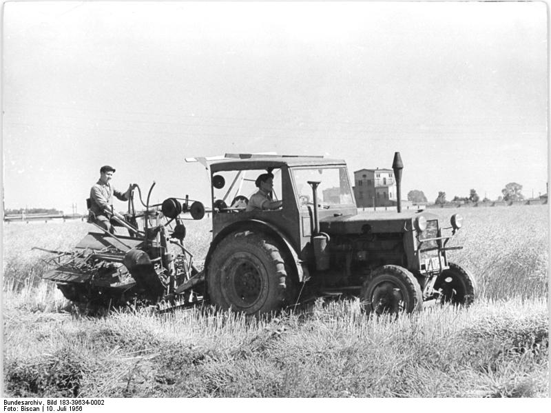 File:Bundesarchiv Bild 183-39634-0002, Gommern, Rapsernte.jpg