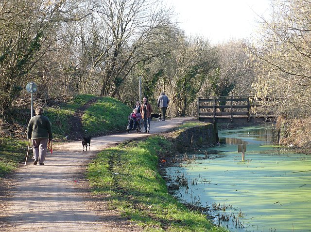 Canal tow path - geograph.org.uk - 703767