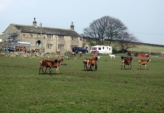 Farms in england