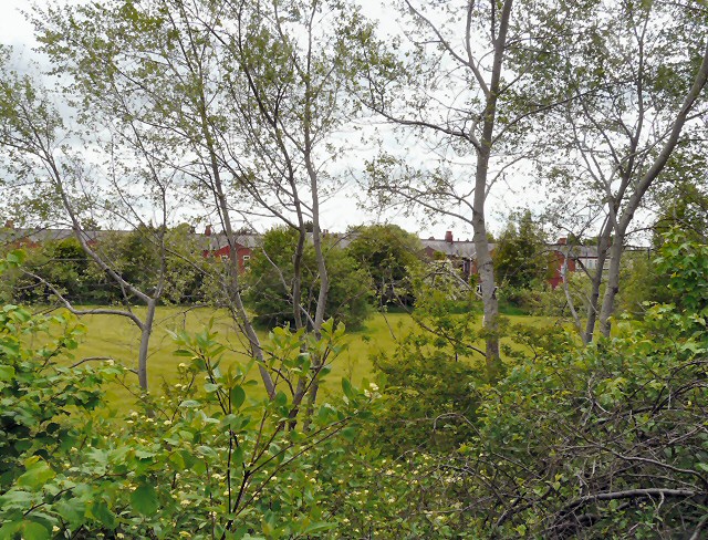 File:Egerton Park Community Orchard - geograph.org.uk - 3489883.jpg