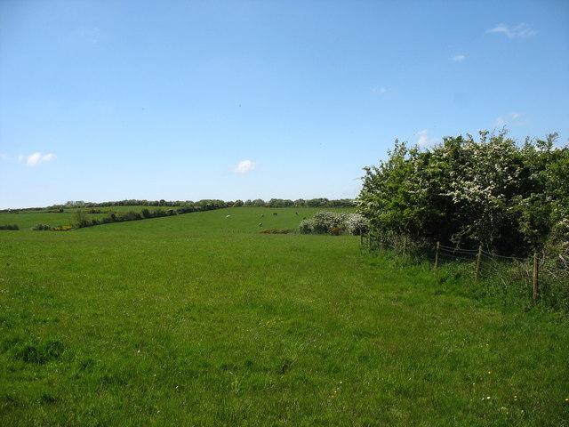 File:Fields to the west of Capel Newydd - geograph.org.uk - 1402922.jpg