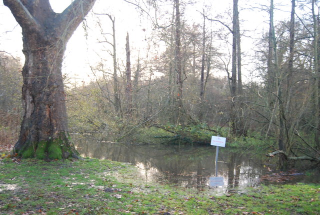 File:Flooding by the River Len, Mote Park - geograph.org.uk - 1610482.jpg