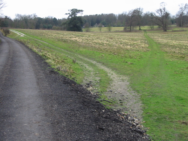 File:Footpath junction - geograph.org.uk - 659586.jpg