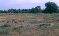 Fort Pierre Chouteau United States historic place