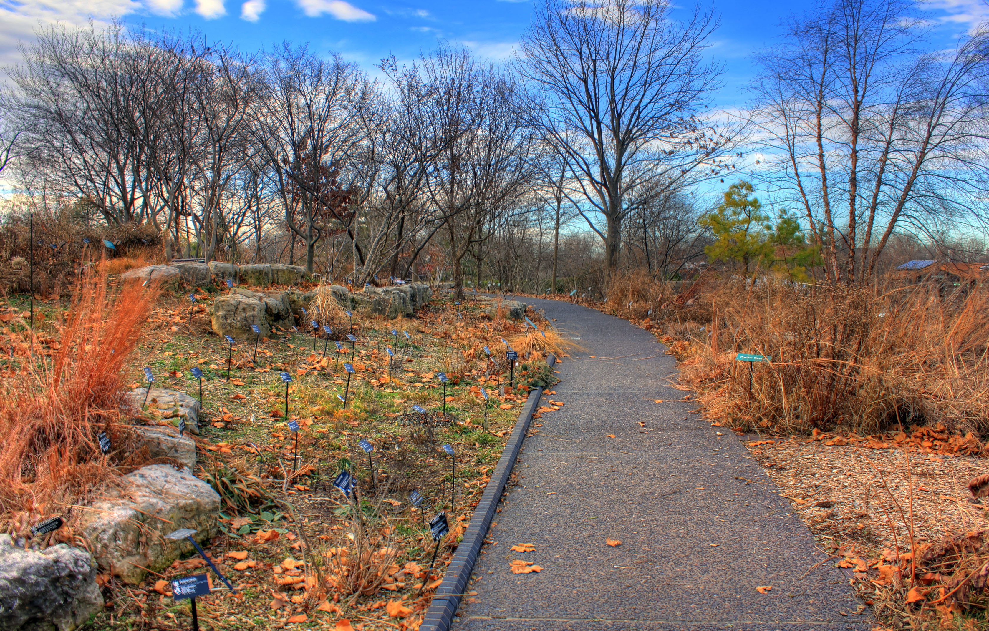 File Gfp Path In The St Louis Botanical Gardens Jpg Wikimedia