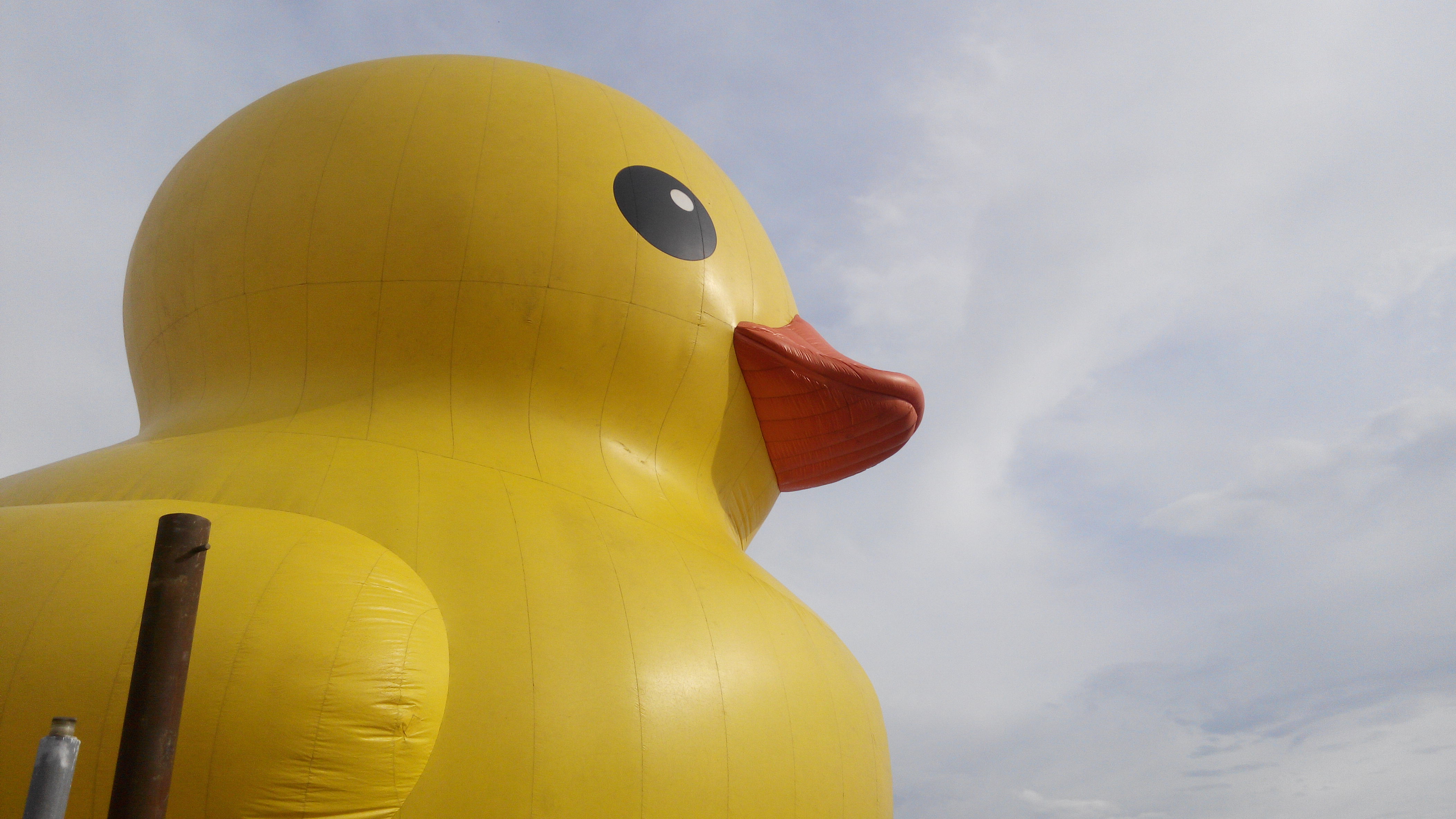 Giant rubber duck at the Toronto Waterfront.jpg. d:Special:EntityPage/P170....