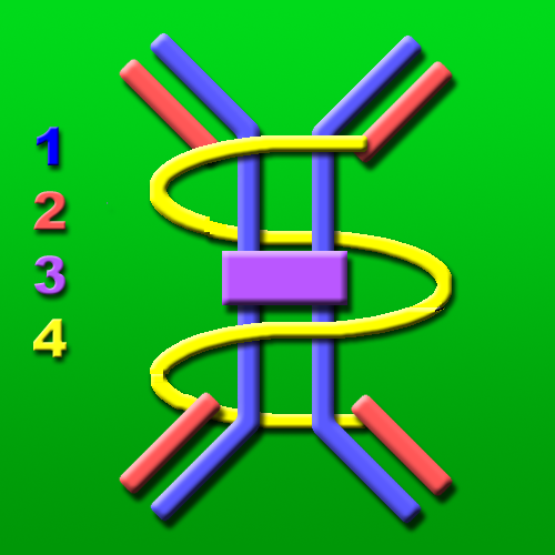 Selective immunoglobulin A deficiency - Wikipedia