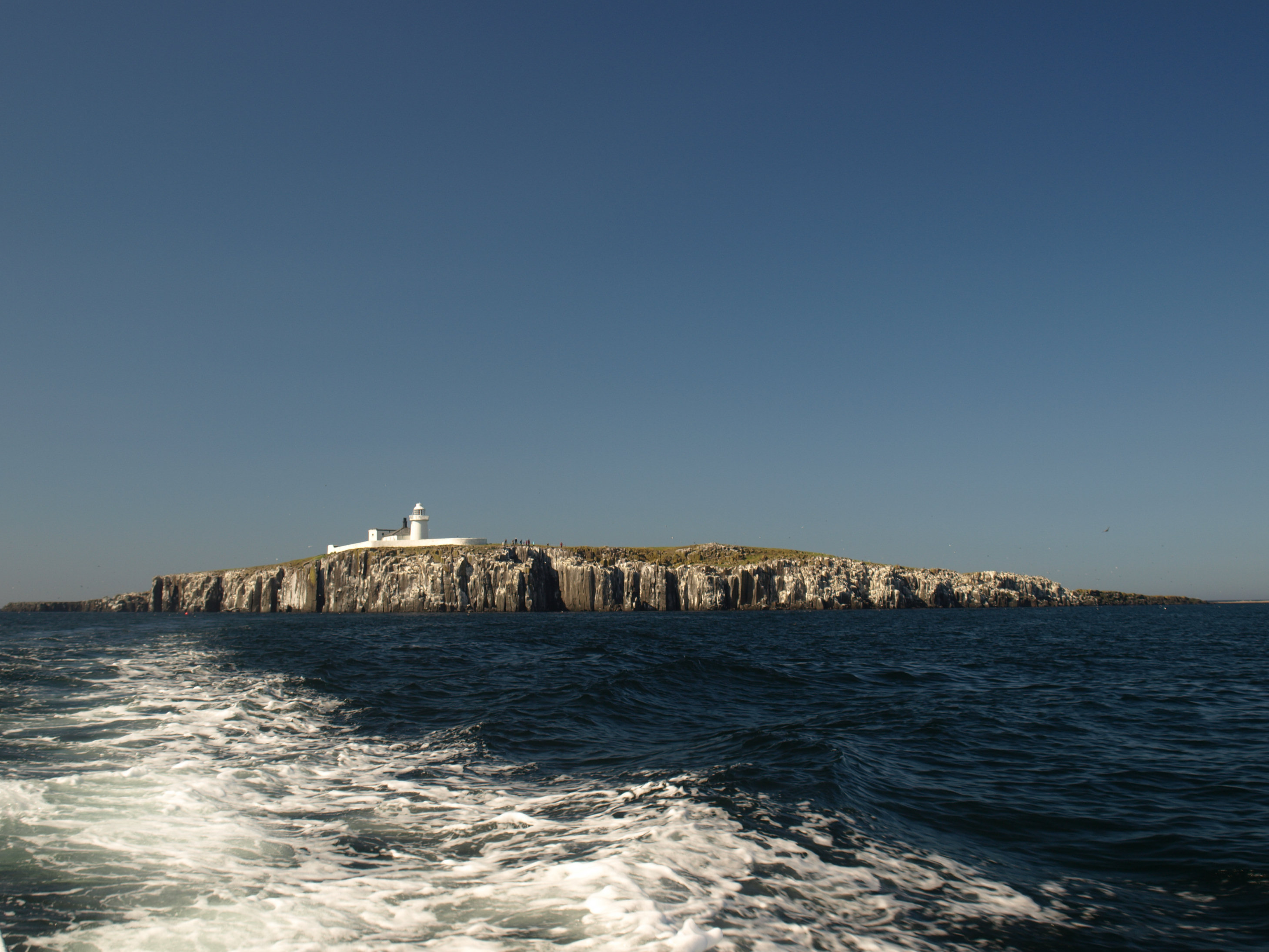 Farne Islands Wikipedia