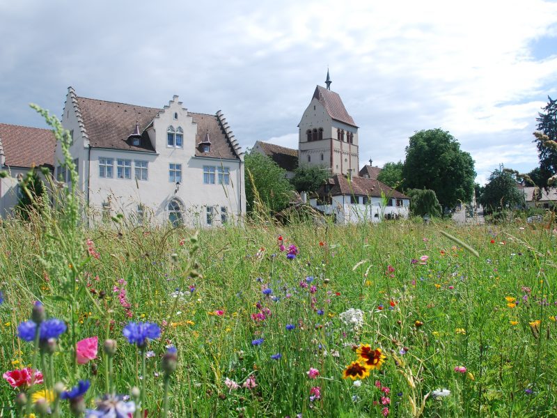 File:Kloster Reichenau Bodensee.jpg