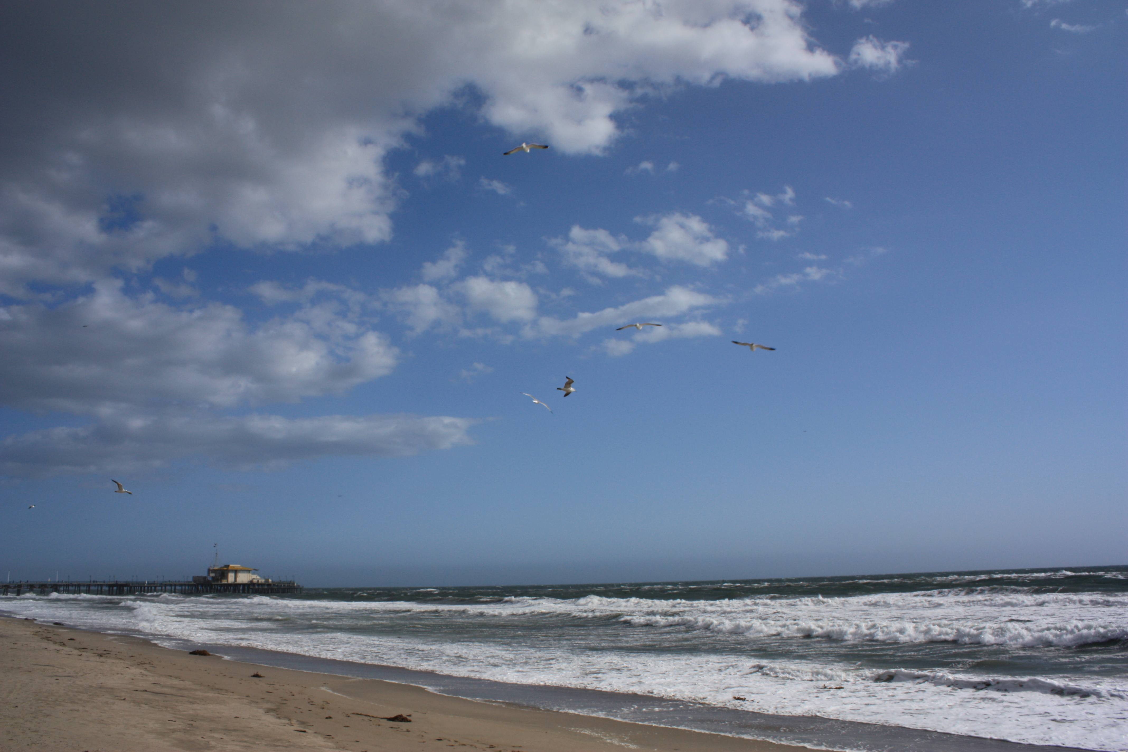 Beach angels