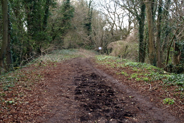 Meon Valley Trail - geograph.org.uk - 830524