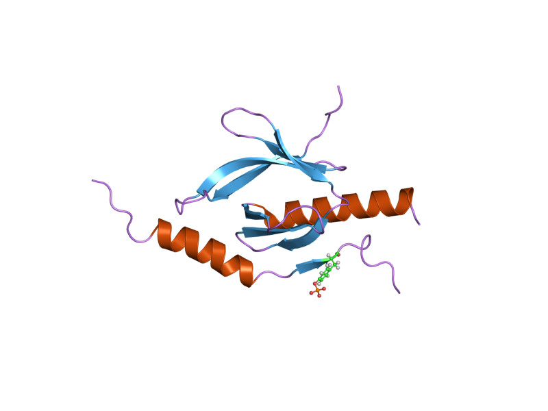 File:PDB 2h7e EBI.png