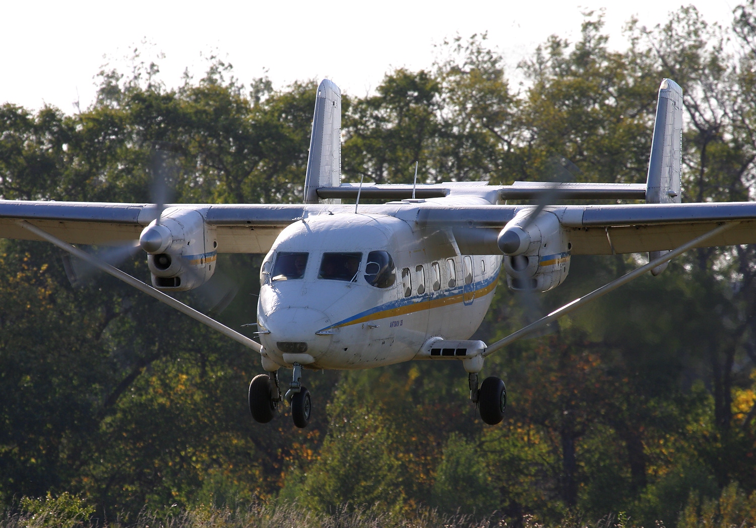 Ан 28. Антонов АН-28. АН 28 самолет. АН 28 Пчелка. АН-28 турбовинтовые самолёты.