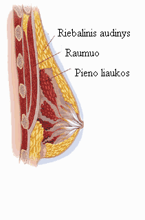 File:Pieno liaukos1.PNG