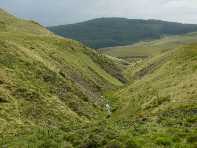 File:Ravine of the Nant Dinas - geograph.org.uk - 553865.jpg