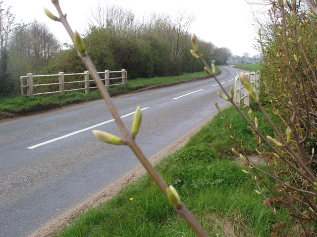 File:Road to Caston - geograph.org.uk - 400168.jpg