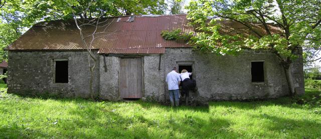 File:Ruined farm buildings - geograph.org.uk - 1298158.jpg