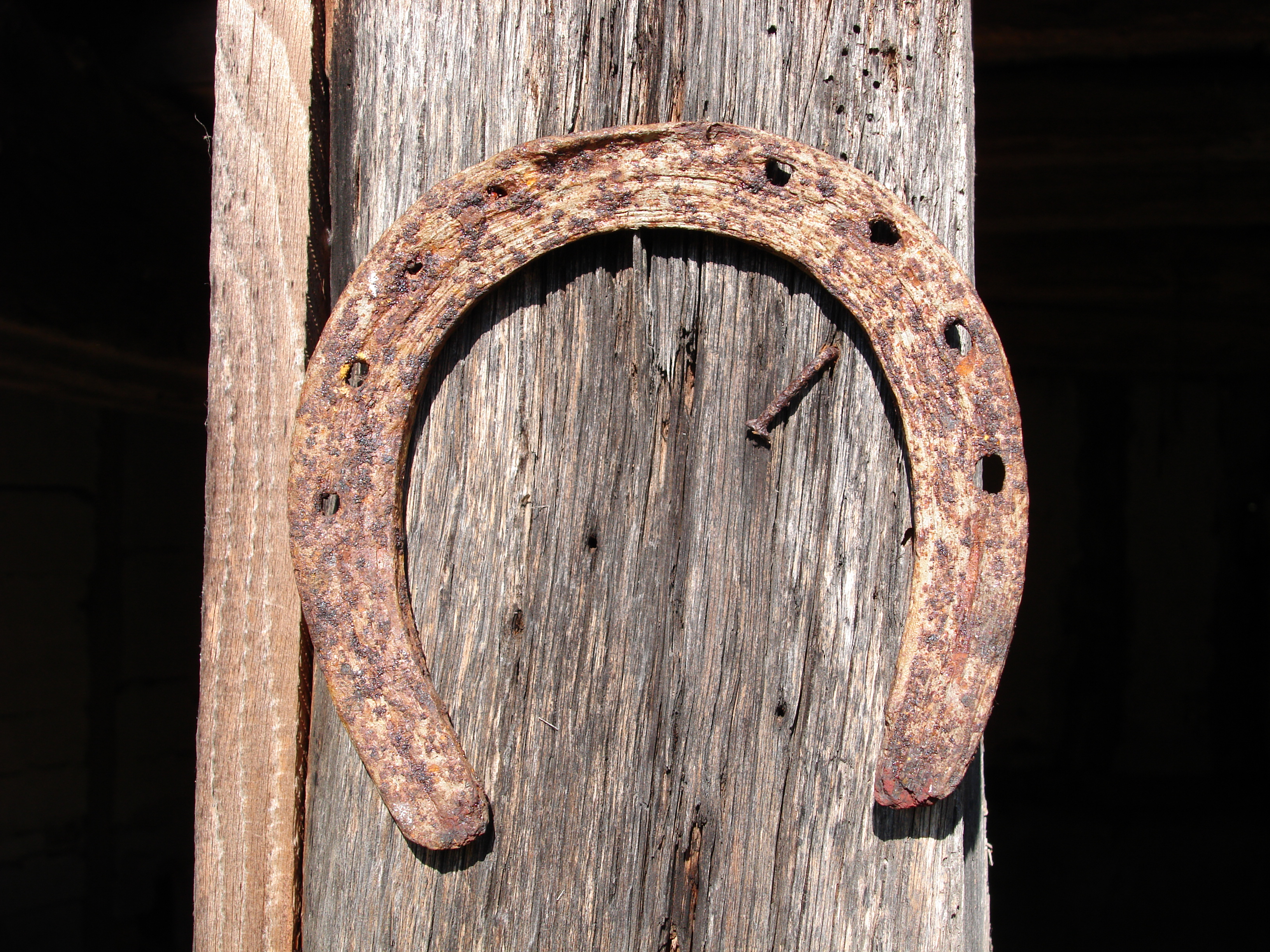 Rusted horseshoe.jpg. w:en:Creative Commons. 