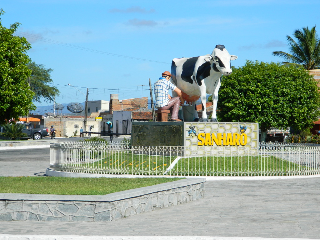 Resultado de imagem para sanharó pe