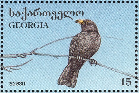 File:Stamp of Georgia - 1996 - Colnect 292419 - Blackbird Turdus merula.jpeg