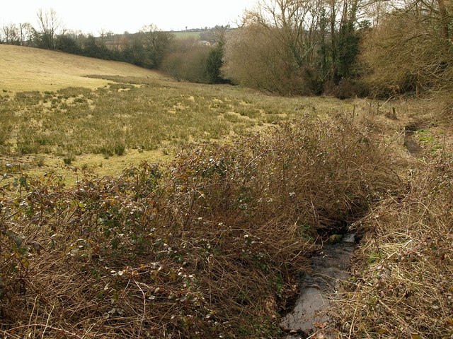 File:Stream, Butterleigh - geograph.org.uk - 1766725.jpg