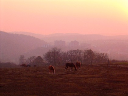 File:Sunset netopyrky.jpg