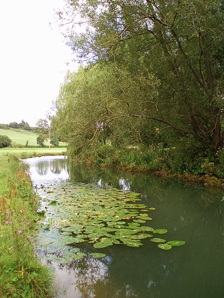 The By Brook - geograph.org.uk - 212434