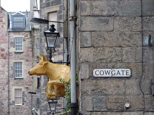 The_Cow_at_Cowgate_-_geograph.org.uk_-_889430.jpg