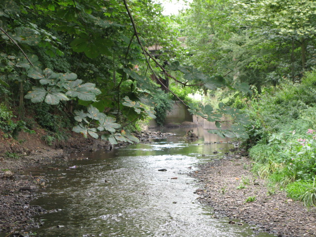 File:The River Ravensbourne in Ladywell Fields (12) - geograph.org.uk - 2252317.jpg